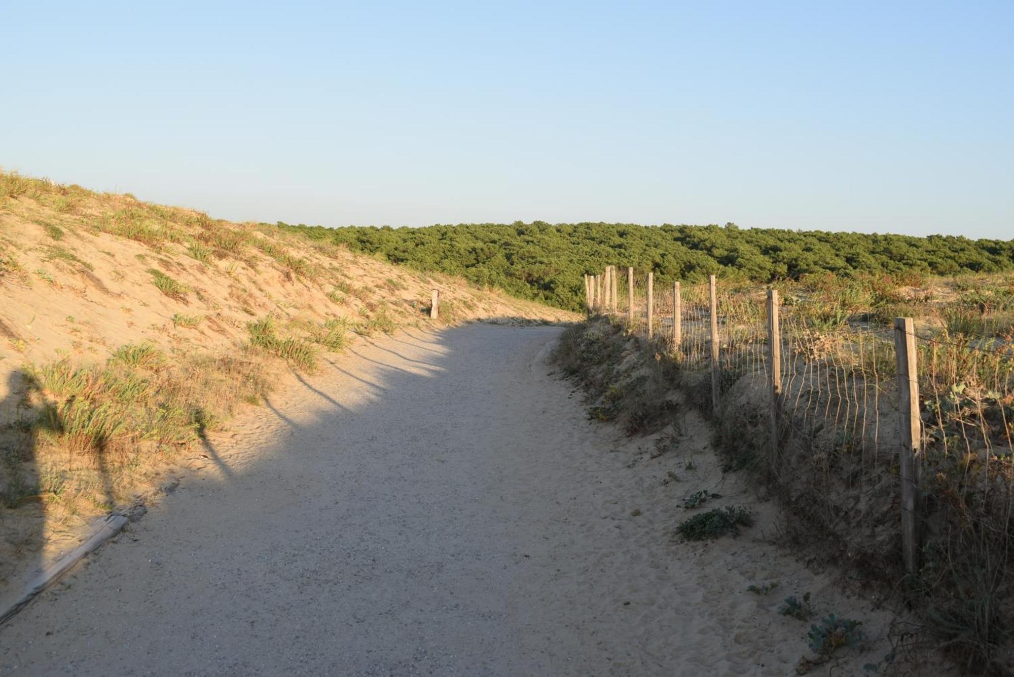 Evasion Cotiere Tranquillite Entre Foret Et Ocean Вьёй-Сен-Жирон Экстерьер фото